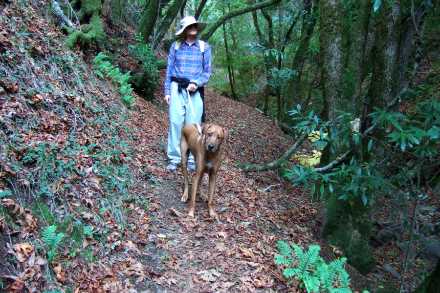 David and Kumba pause near the waterfall.