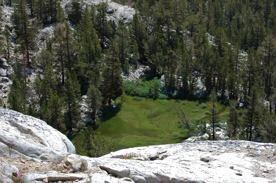 Small meadow below our lunch spot