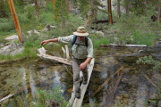 Brian gets across Lamarck Creek on some logs.