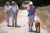 Kay, David, Laura, and Kumba walking in the Pogonip Preserve, Santa Cruz.