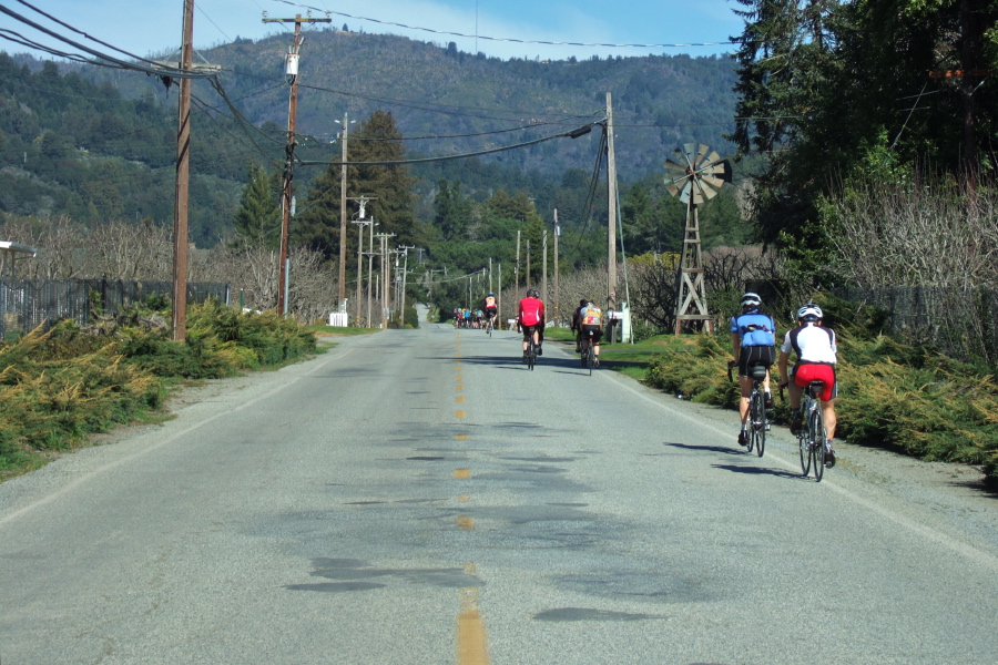 The D Group rides up Browns Valley Rd.