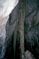 Large column and shield in the Lehman Cave