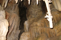 Curtains and shields in Lehman Cave.