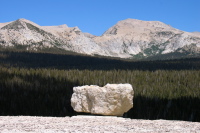 Rock on west side of Lembert Dome; view is to the northeast.