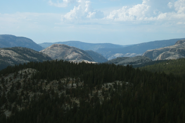 Tuolumne Canyon from Lembert Dome.