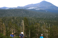 Ron, Frank, and Stella rise out of the trees.