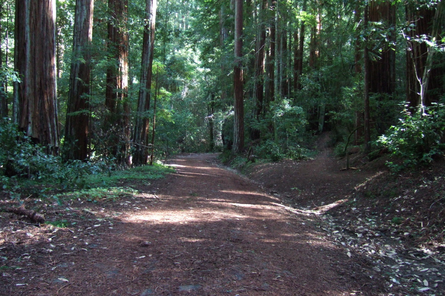 North Escape Road runs alongside Opal Creek.