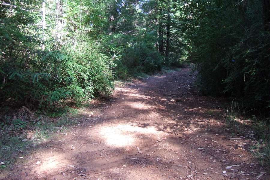 Returning along Little Basin Road