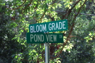 Bloom Grade and Pond View