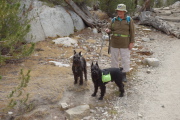 Hiker with two large scottish terriers