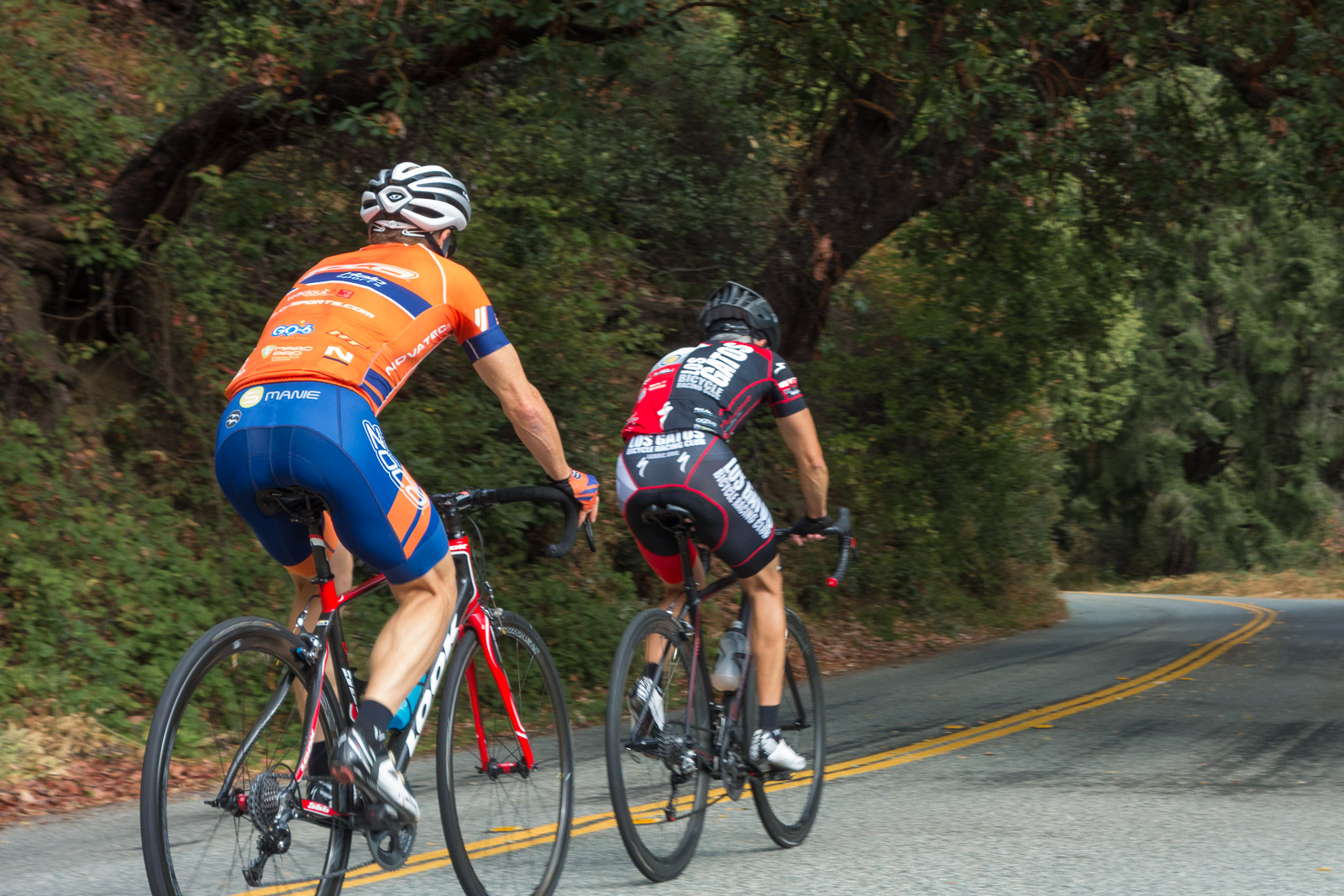 BB-20151017-103232.jpg