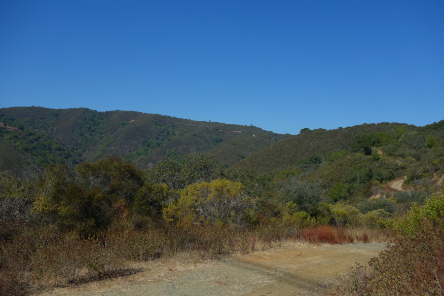 View back up the Serenity Trail.