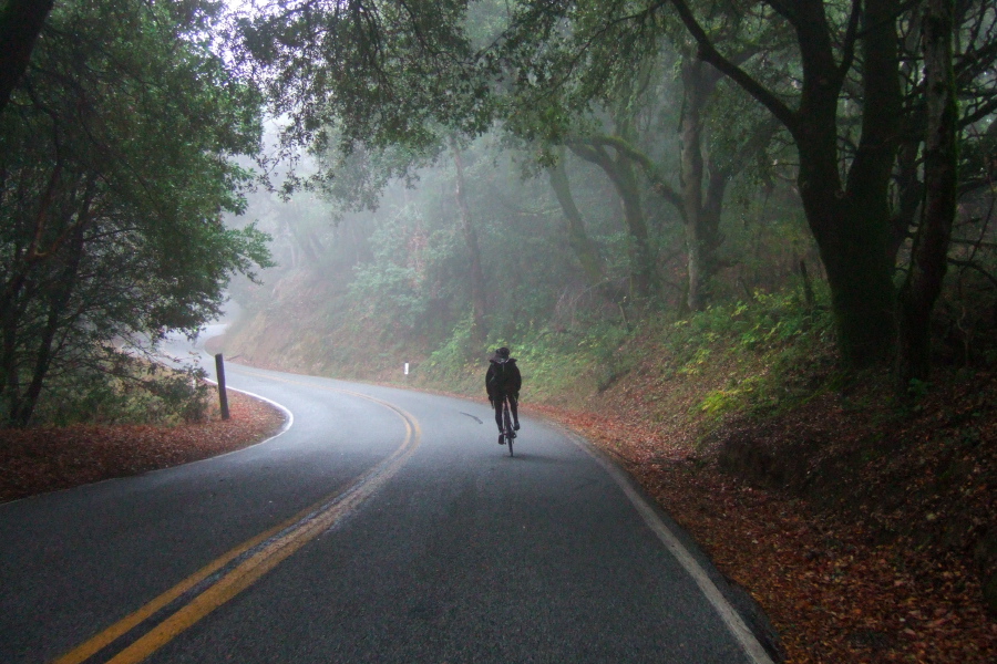 Dan Connelly descends Page Mill Rd. through the fog.