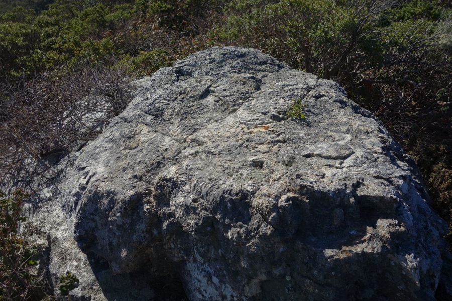 This boulder marks the high point of South Peak.