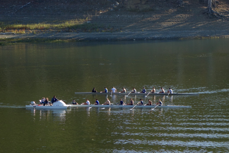 Crew teams on a low Lexington Reservoir
