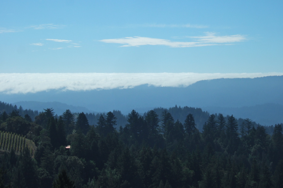 Fog pushes over Ben Lomond Mountain.