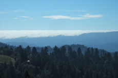 Fog pushes over Ben Lomond Mountain.
