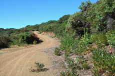 Taking the dirt road through El Sereno Open Space
