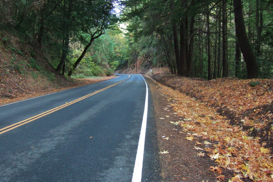 Autumn leaves on Skyline Blvd. north of Black Road