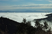 Fog fills the south bay; Mt. Hamilton rises on the other side of the valley.