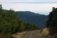 Descending the rocky road to the summit of Loma Prieta