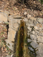 Los Gatos Creek spring and cistern (3400ft)