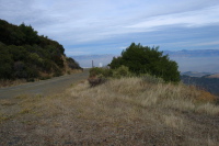 Mt. Umunhum Rd., looking downhill from the crossing of the ridge. (3260ft)