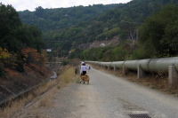 Los Gatos Creek Trail, south of Los Gatos (360ft)