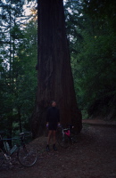 Bill in front of the old redwood tree on John Nicholas Trail.