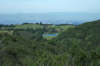 Boronda Lake and the south bay from Los Trancos Trail