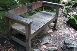 Lynn Torin bench at Los Trancos Creek