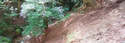 Big Slide on Los Trancos Trail