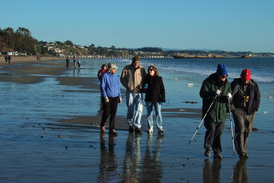 The group walks north from Seacliff Beach.