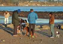 Jack strains at the leash while meeting another dog, while David, Laura, Michael, and the other dog's owners look on.