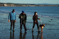 Michael, David, Laura, and Jack walk the beach at low tide.