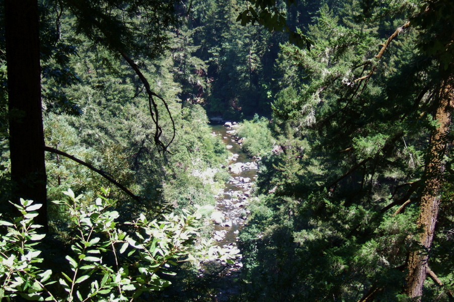 San Lorenzo River in its canyon, viewed from CA9.