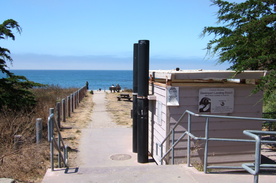 Davenport Landing Beach.