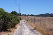 Looking up Back Ranch Rd.