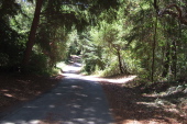 Upper end of Back Ranch Rd.