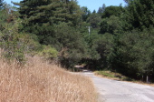 Back Ranch Rd. where it leaves the forest.  (lookup uphill)