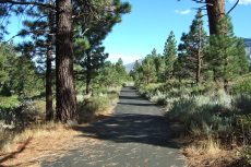 Heading south on the Mammoth Lakes bike path