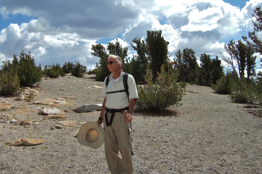 David admires the Whitebark Pine forest atop the Crest.