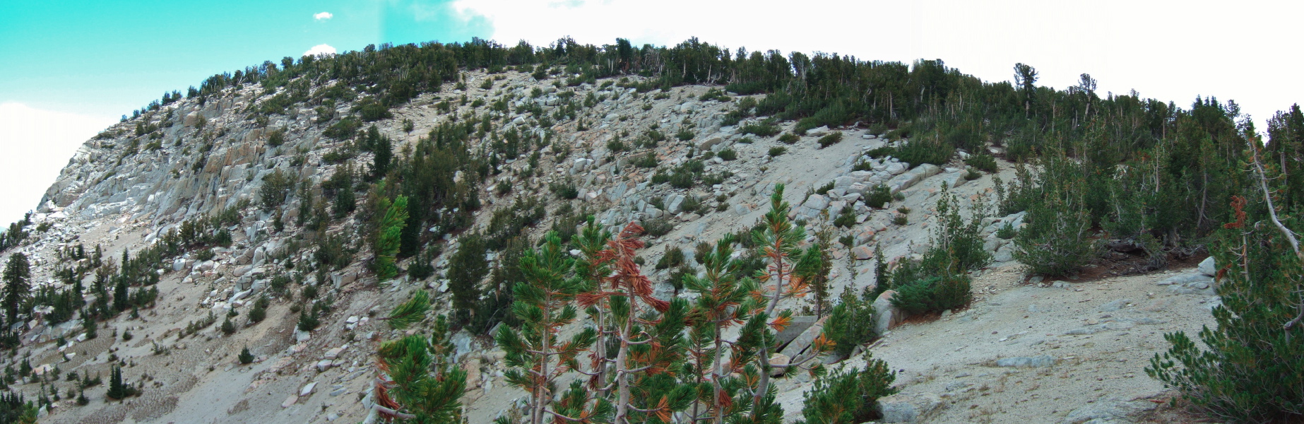 The northwestern slope of Mammoth Crest.