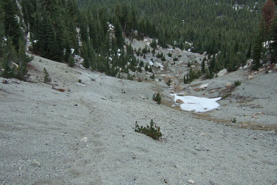 Most of the footprints go straight down the slope.