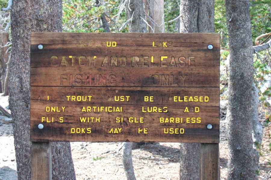 Fishing rules at McCloud Lake