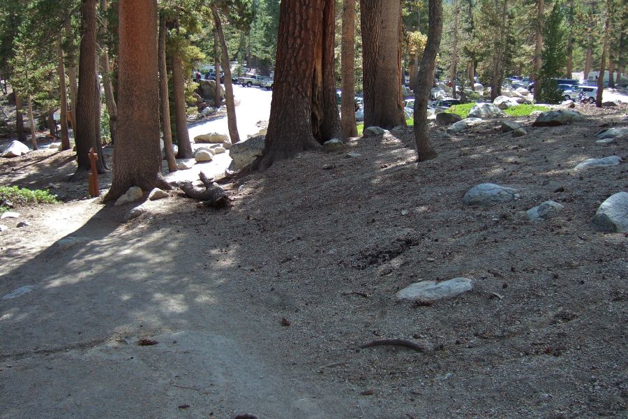 We joined the Mammoth Crest Trail within sight of the Lake George Trailhead.