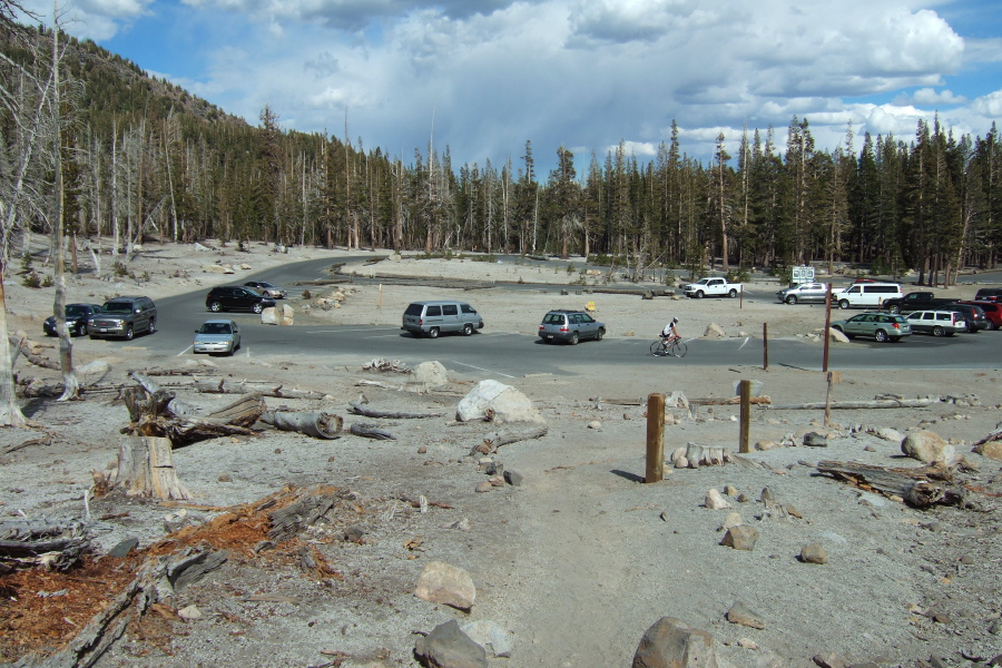 We arrive at the Horseshoe Lake Trailhead.