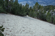 Many footprints lead through this area.