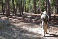 David presses through the flat forest around Horseshoe Lake.