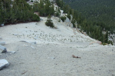 And we found ourselves at the top of the wide, sandy chute that took us down to Mammoth Pass.